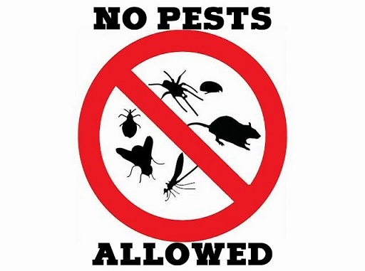 http://blog.pulsetv.com/wp-content/uploads/2020/07/nopests.jpg